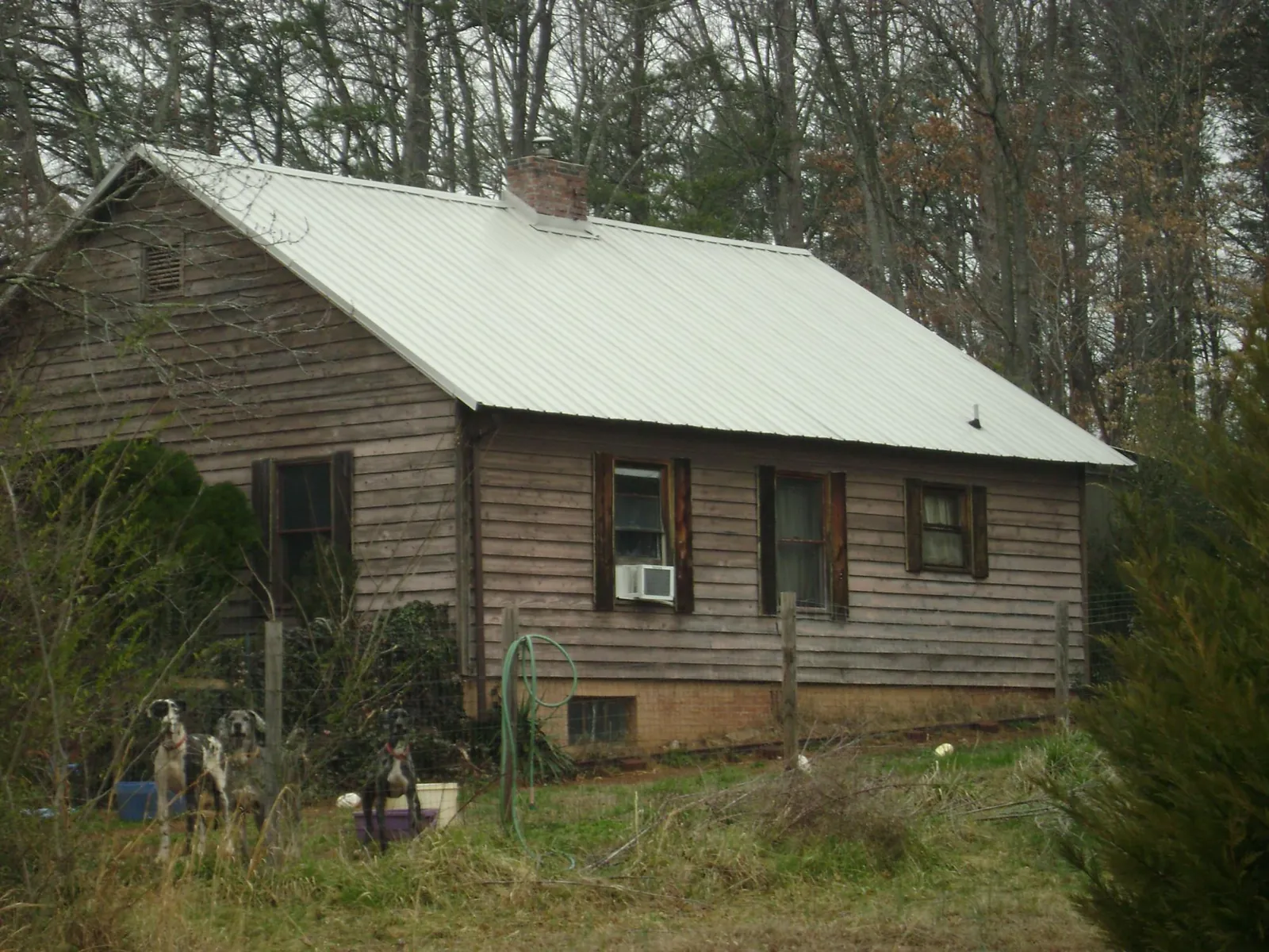 White metal roof on an old wood sided farmhouse, from a Asphalt Shingle Roof Repair job in Lyndonville